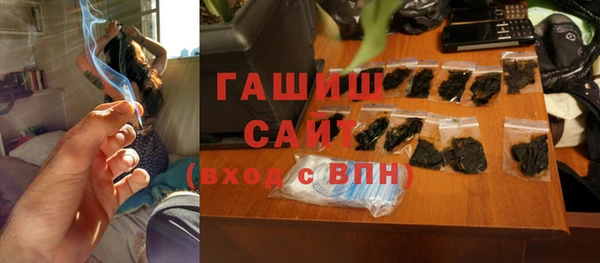 spice Инта