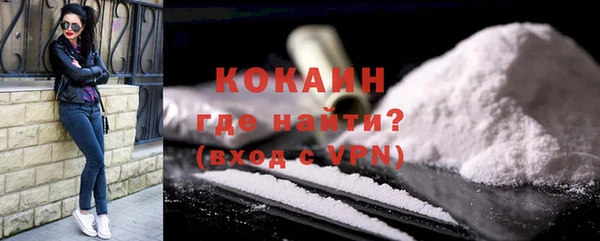 мдпв Инсар