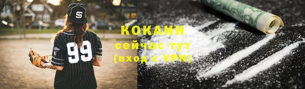 мдпв Инсар