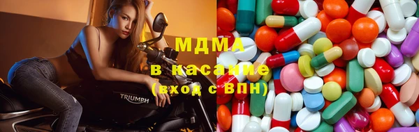 spice Инта