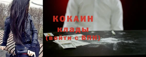 мдпв Инсар