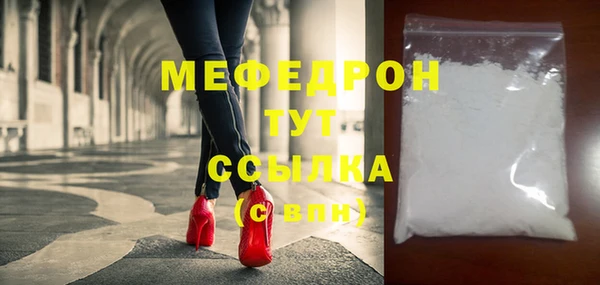 spice Инта