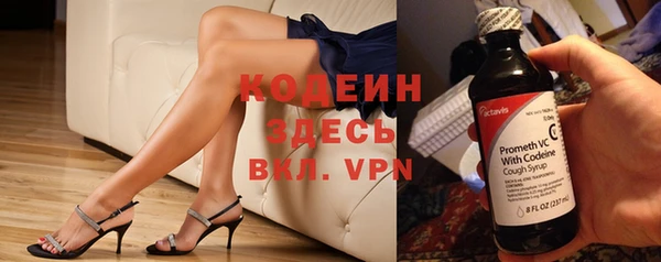 мдпв Инсар