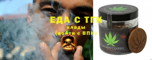 spice Инта