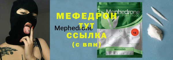 мдпв Инсар