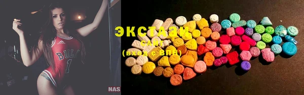 spice Инта