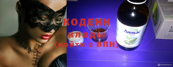 мдпв Инсар
