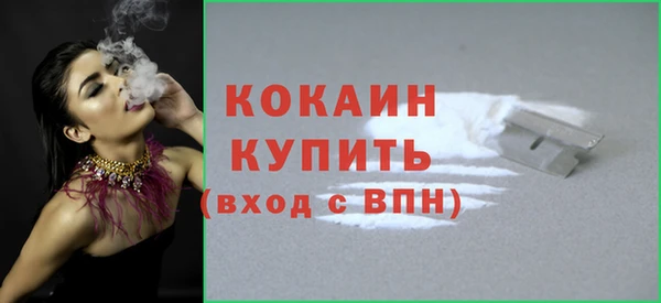 мдпв Инсар