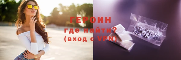 мдпв Инсар