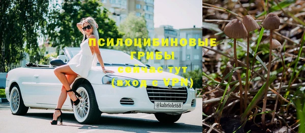 мдпв Инсар