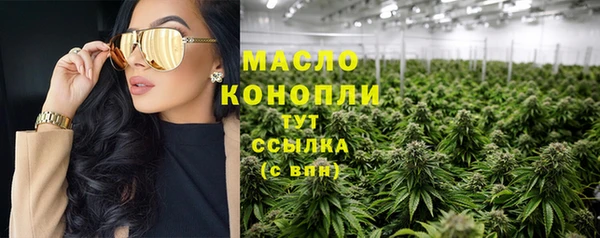 spice Инта