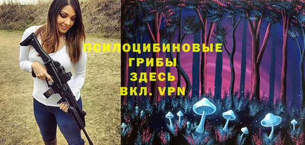 мдпв Инсар