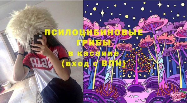 spice Инта