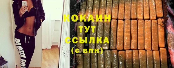мдпв Инсар