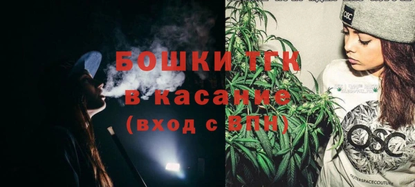 spice Инта