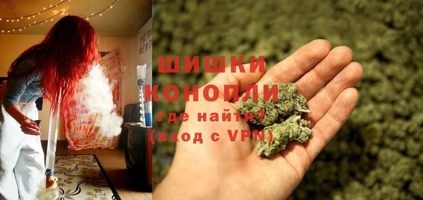 spice Инта