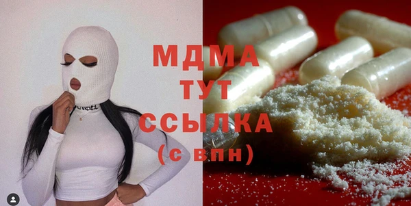 spice Инта