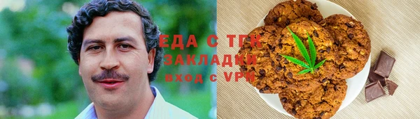 мдпв Инсар